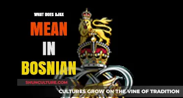 Understanding the Meaning of AJAX in Bosnian Language and Culture