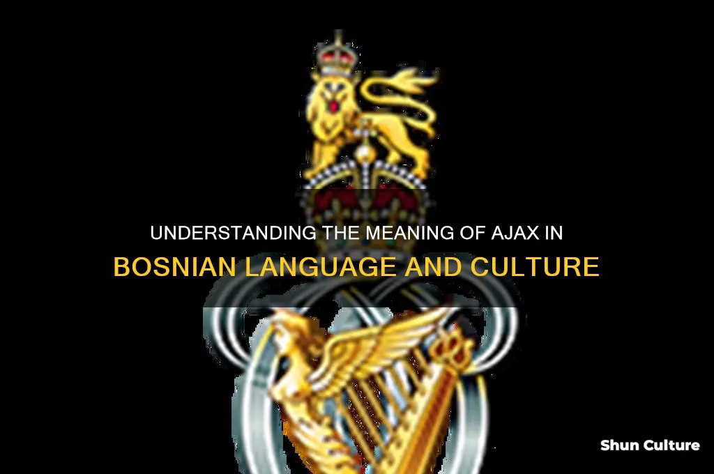 what does ajax mean in bosnian