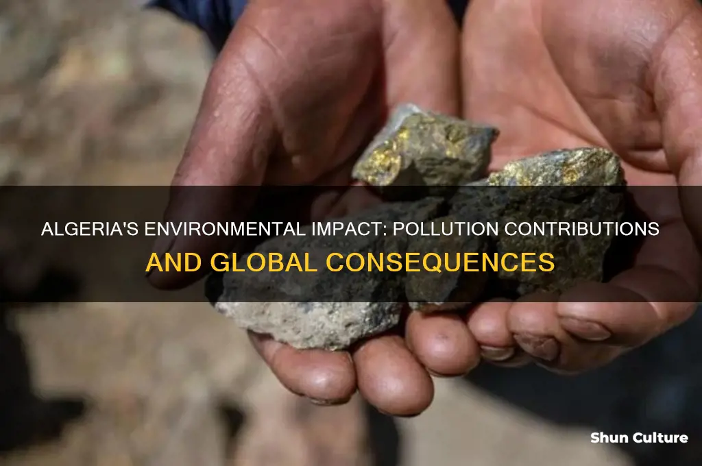 what does algeria contribute to pollution