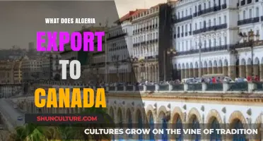 Algeria's Key Exports to Canada: Trade Insights and Economic Ties