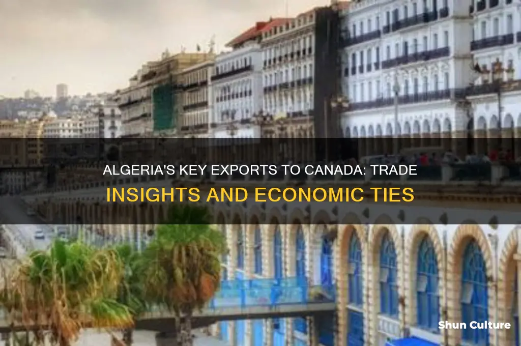 what does algeria export to canada