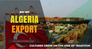 Algeria's Export Economy: Key Products, Industries, and Global Trade Insights