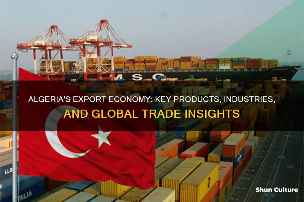 what does algeria export