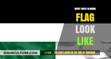 Exploring Algeria's Flag: Colors, Symbolism, and National Identity Revealed