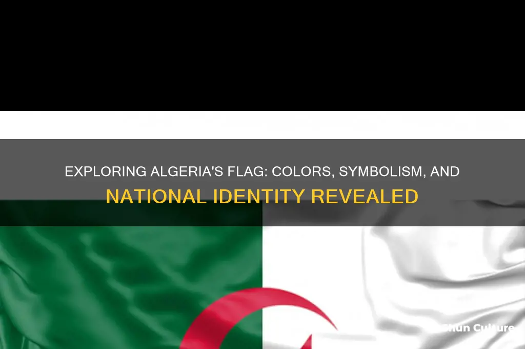 what does algeria flag look like