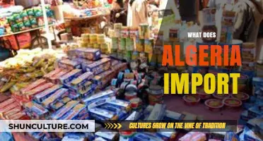 Algeria's Import Landscape: Key Goods and Trade Partners Revealed