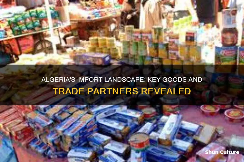 what does algeria import