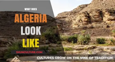 Exploring Algeria's Landscapes: A Visual Journey Through Its Diverse Beauty