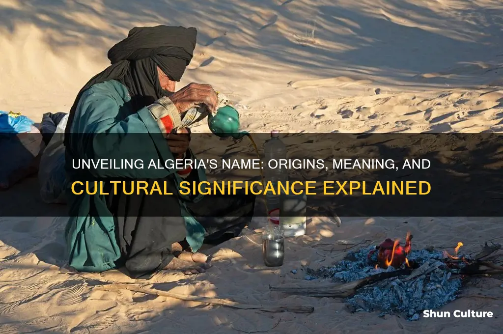 what does algeria mean