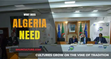 Algeria's Path Forward: Key Needs for Sustainable Growth and Development