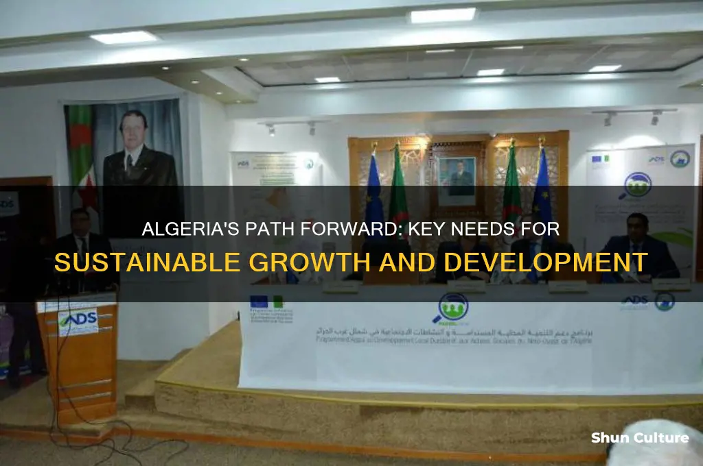 what does algeria need