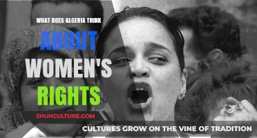 Algeria's Perspective on Women's Rights: Progress, Challenges, and Cultural Dynamics