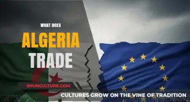 Algeria's Trade Dynamics: Key Exports, Imports, and Economic Partnerships