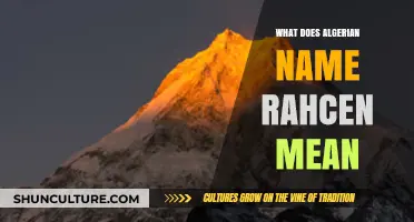 Unveiling the Meaning and Origins of the Algerian Name Rahcen