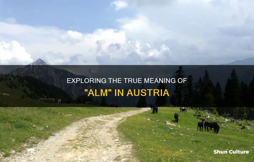 what does alm mean in austria