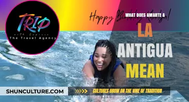 Understanding the Meaning and Cultural Significance of 'Amarte a la Antigua