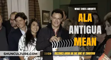 Understanding 'Amarte Ala Antigua': Exploring the Meaning and Cultural Significance