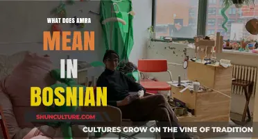 Understanding the Meaning of 'Amra' in Bosnian Language and Culture
