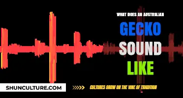 Australian Gecko Calls: What Do They Sound Like?