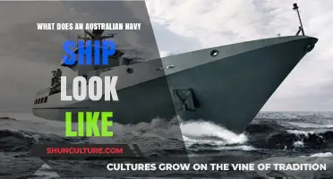 Australian Navy Ships: A Visual Guide