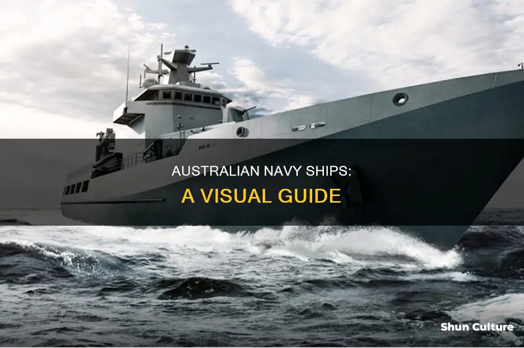 what does an australian navy ship look like