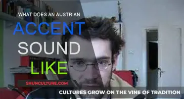 The Unique Melody of Austrian Accents