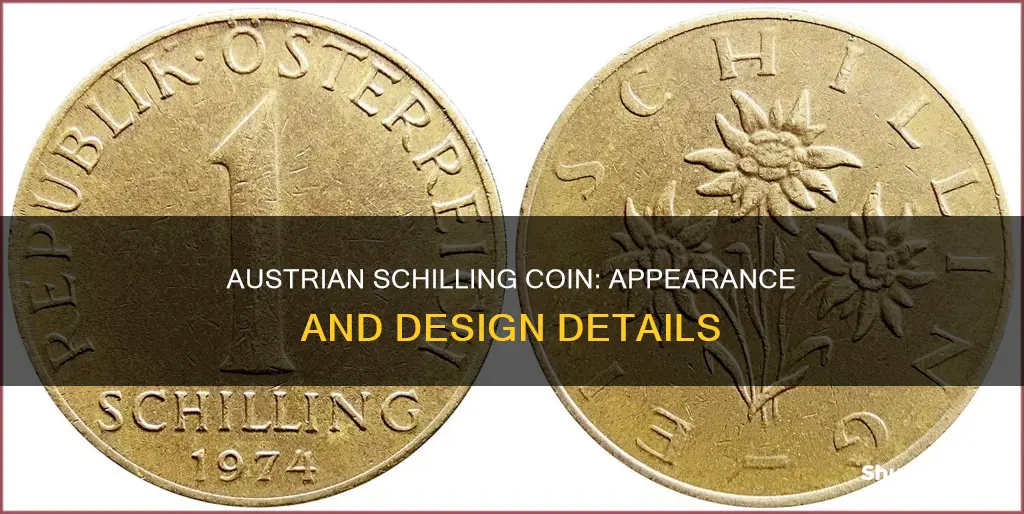 what does an austrian schilling coin look like