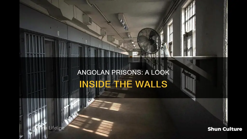 what does angol aprison look like on the inside