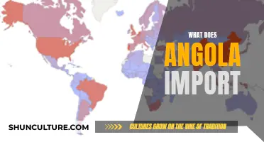 Angola's Imports: Trade Partners and Key Goods