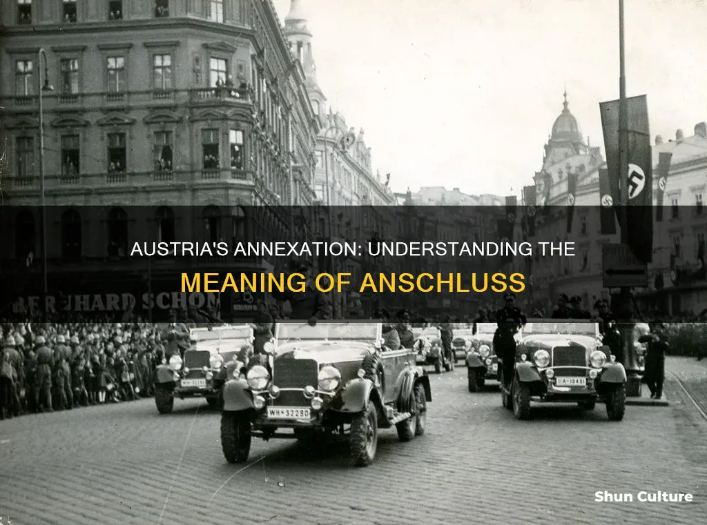 what does anschluss with austria mean