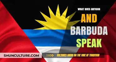 Languages of Antigua and Barbuda: Exploring the Island Nation's Spoken Tongues