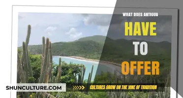 Discover Antigua's Stunning Beaches, Rich Culture, and Adventure Opportunities