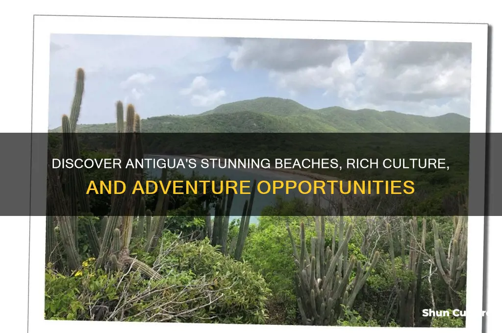what does antigua have to offer