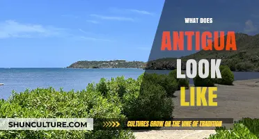 Exploring Antigua's Stunning Landscapes, Beaches, and Cultural Vibes