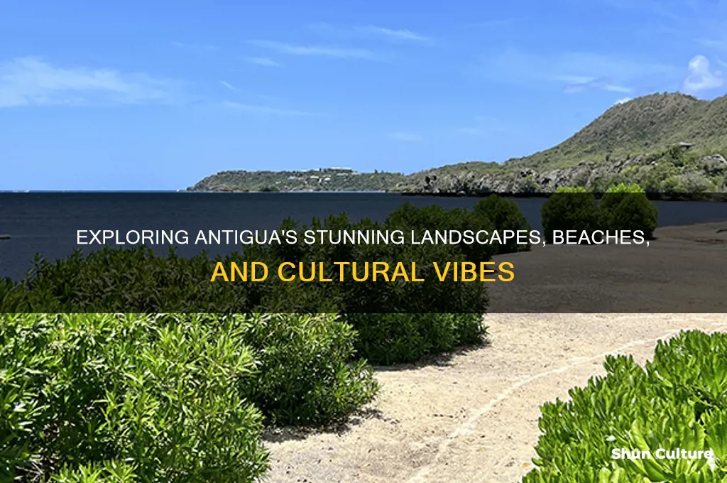 what does antigua look like