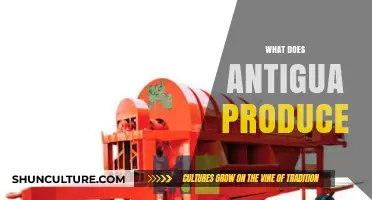 Antigua's Economy: Key Products, Exports, and Agricultural Contributions Explained