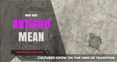 Understanding Antiguo: Unveiling the Meaning and Origins of the Spanish Term