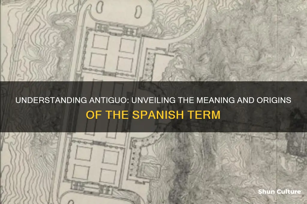 what does antiguo mean