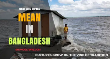 Understanding 'Approx' in Bangladesh: Meaning, Usage, and Cultural Context