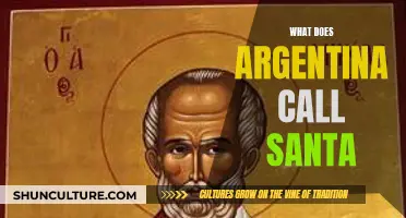 Discovering Argentina's Unique Name for Santa Claus