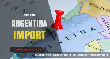 Exploring Argentina's Import Landscape: Key Commodities and Trade Partners