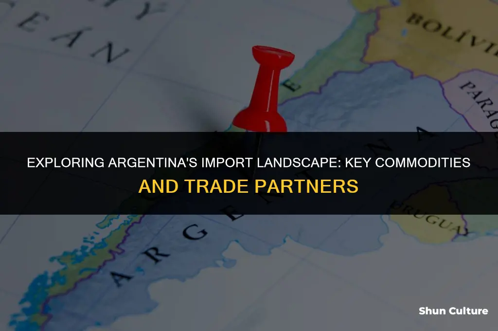 what does argentina import