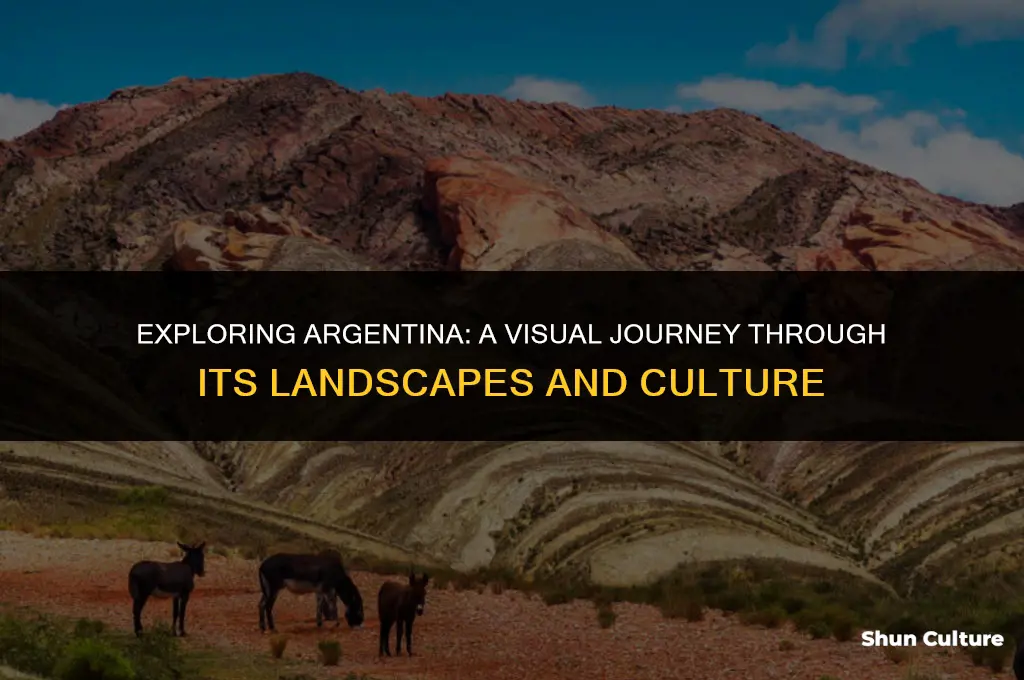 what does argentina look like