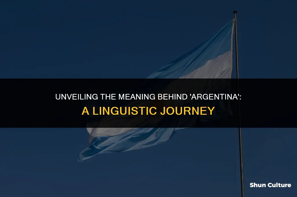 what does argentina mean
