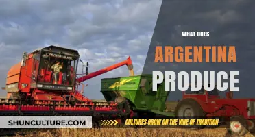 Exploring Argentina's Economic Output: A Diverse Range of Products