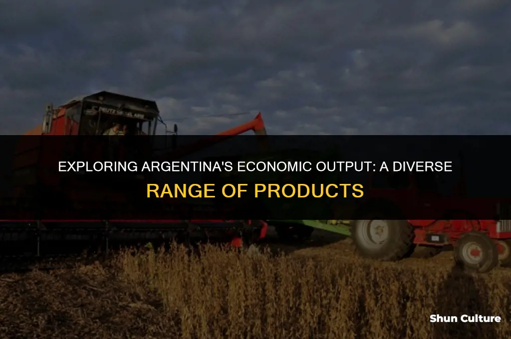 what does argentina produce