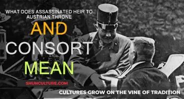 Archduke Franz Ferdinand: Assassinated Heir and Consort's Legacy