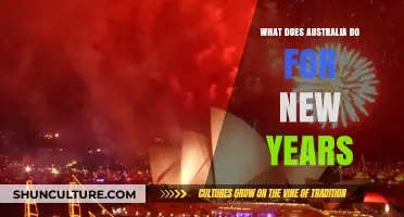 Australia's New Year's Eve: Fireworks, Festivals, and Unique Traditions Explained