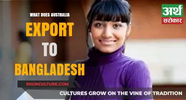 Australia's Key Exports to Bangladesh: Trade Insights and Trends