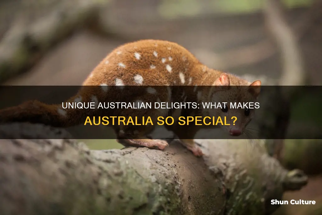 what does australia have that is not found elsewhere